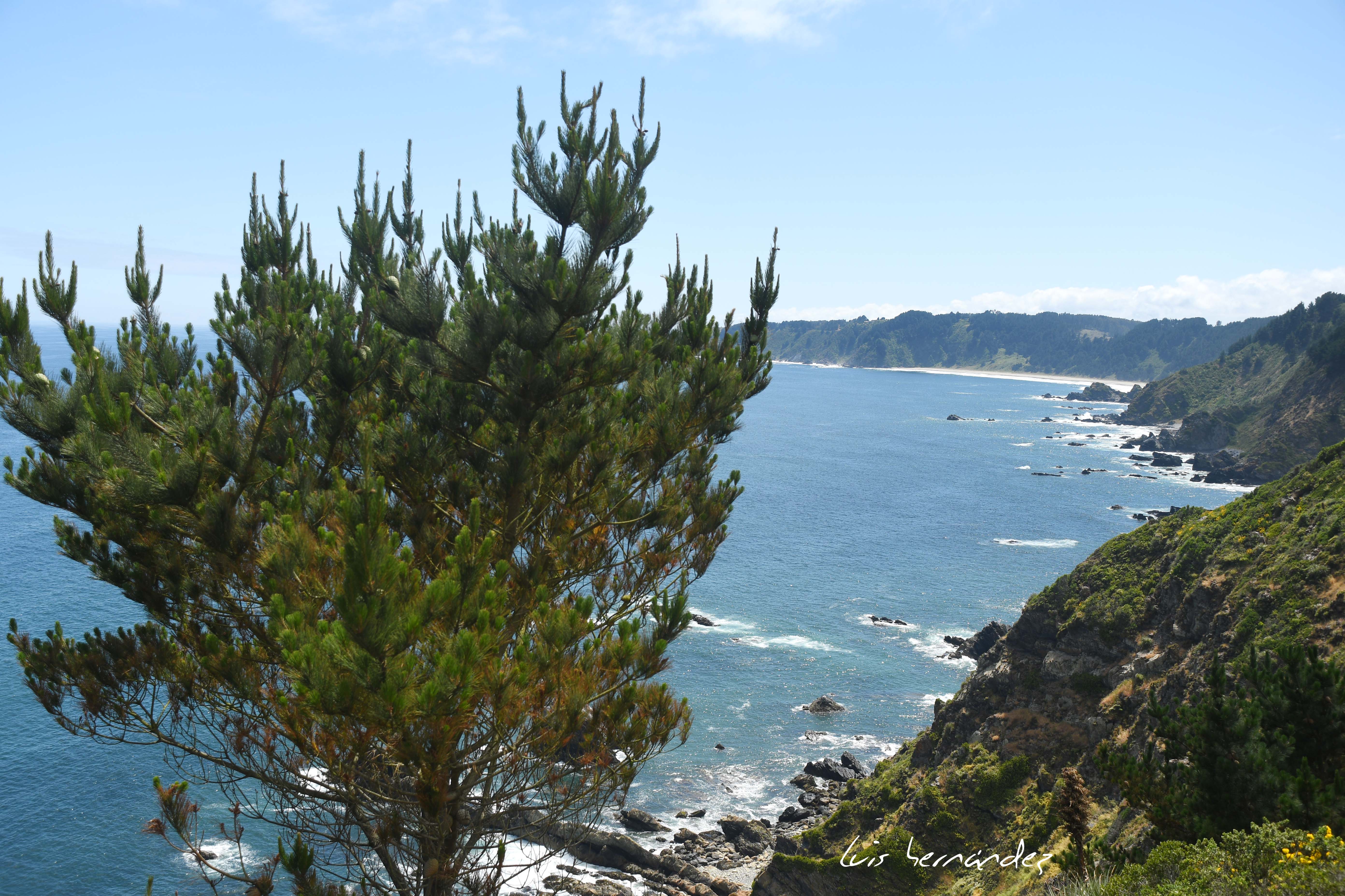 DSC_1715 (1)