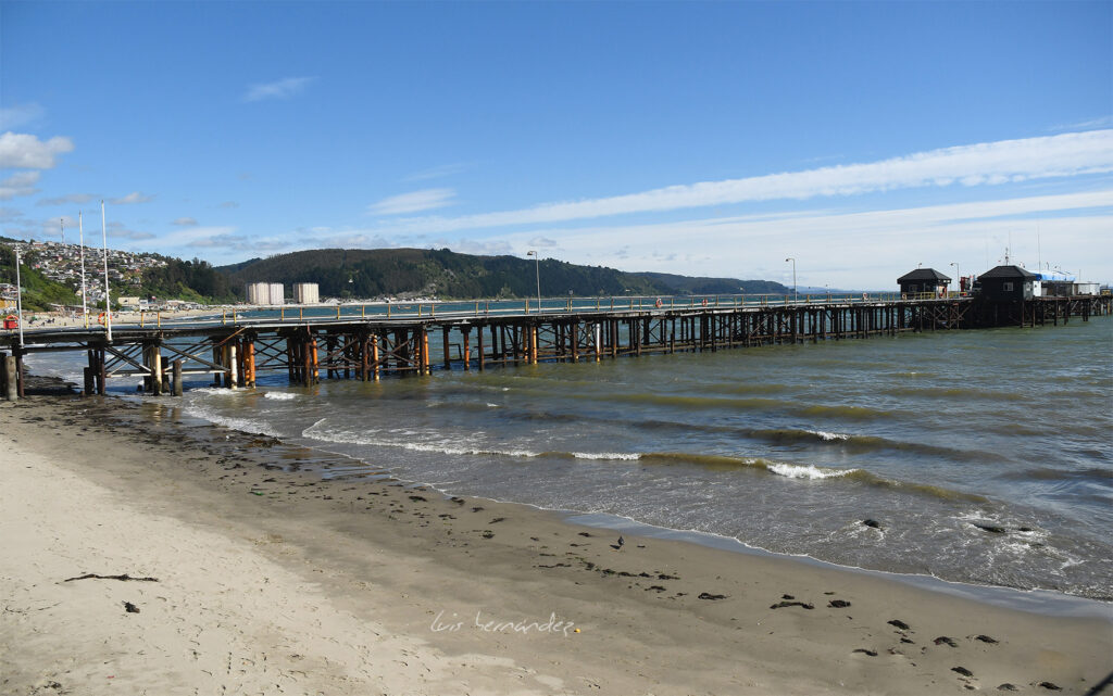 DSC_0914(1)