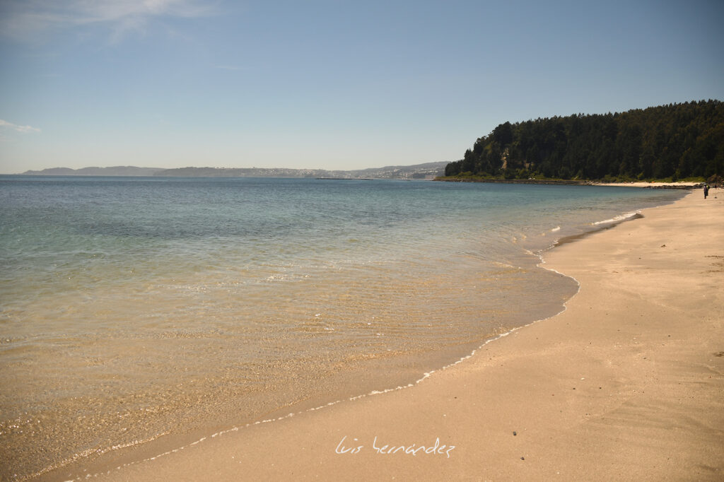 DSC_1533(1)